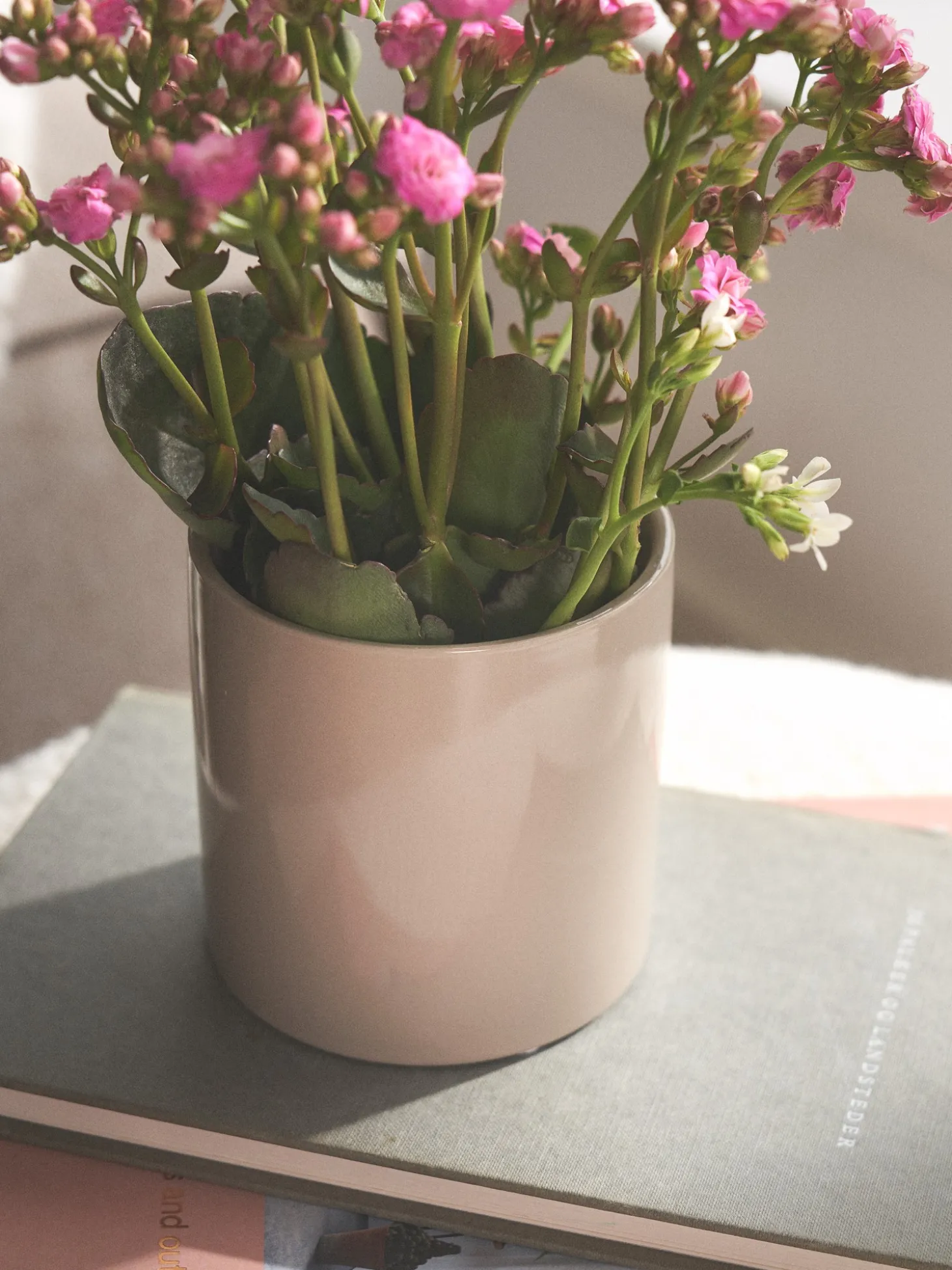 Blomsterpotte