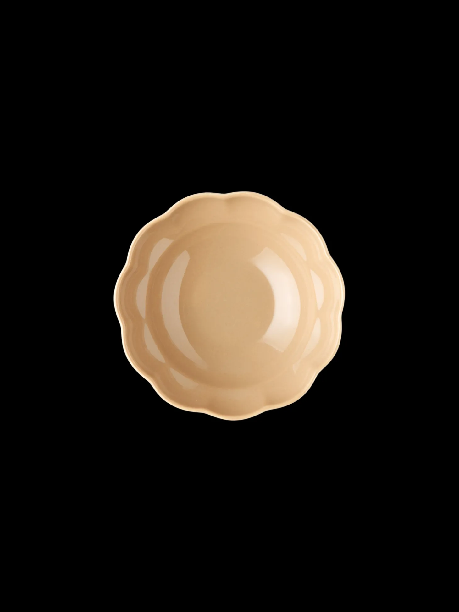 Bolle