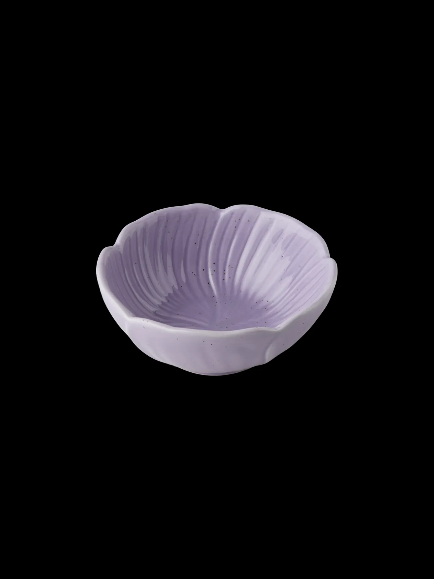 Bolle