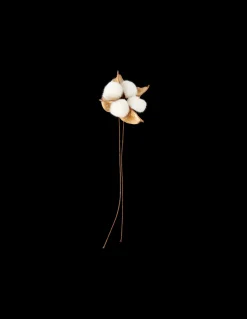 Bomullsblomst