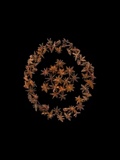 Dekorative Anisfrø