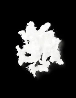 Fjær