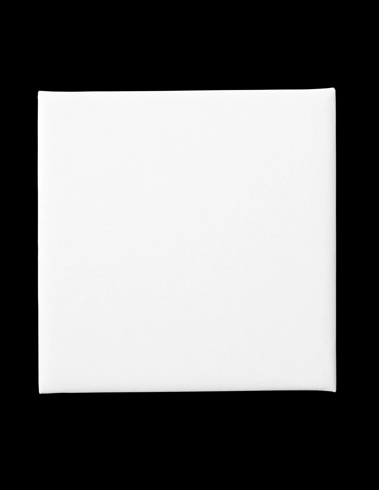 Maleplate 20 X 20