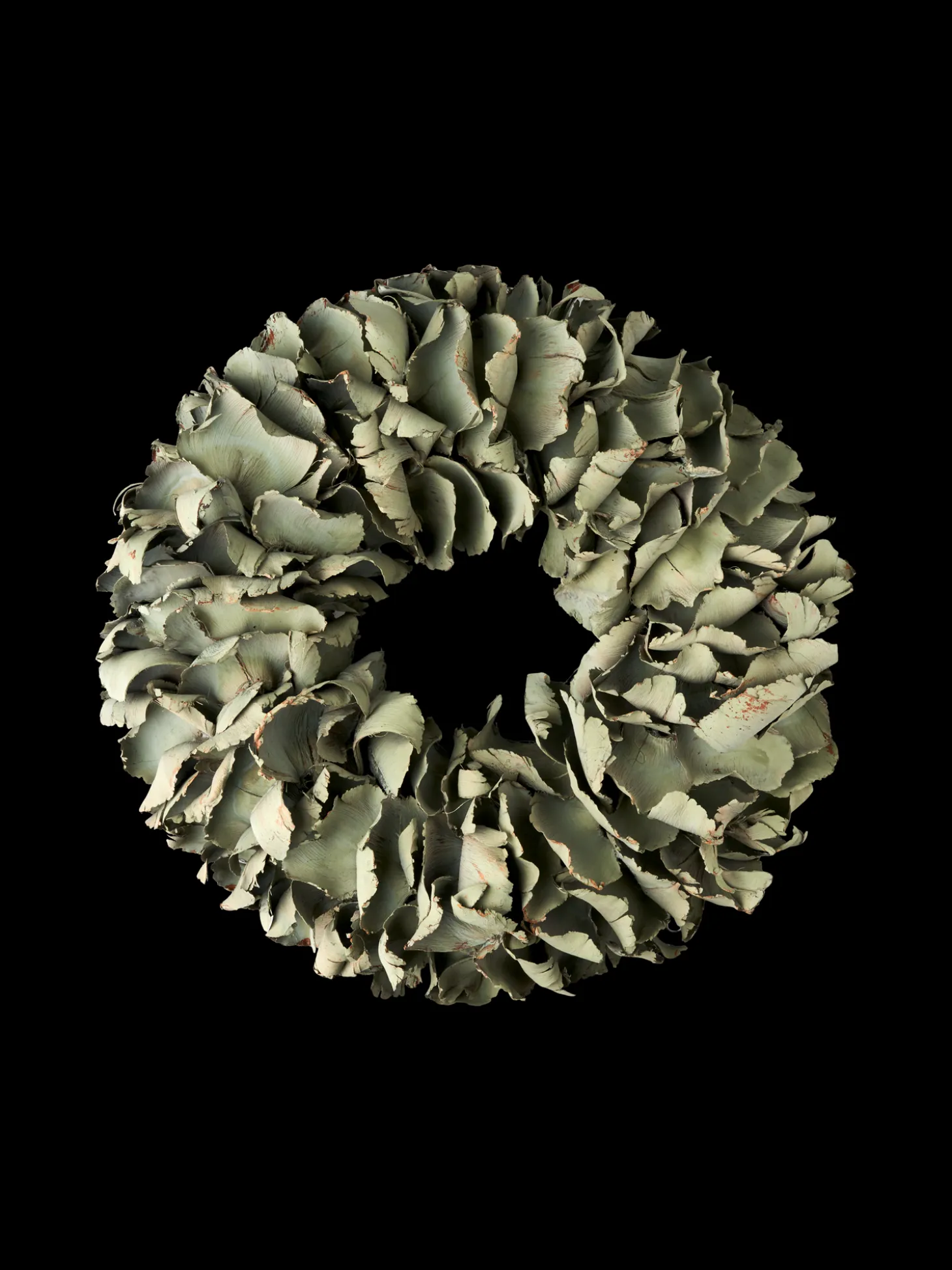 Palm Petal Krans Ø40 Cm