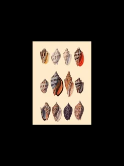 Plakat 15 X 21 Cm