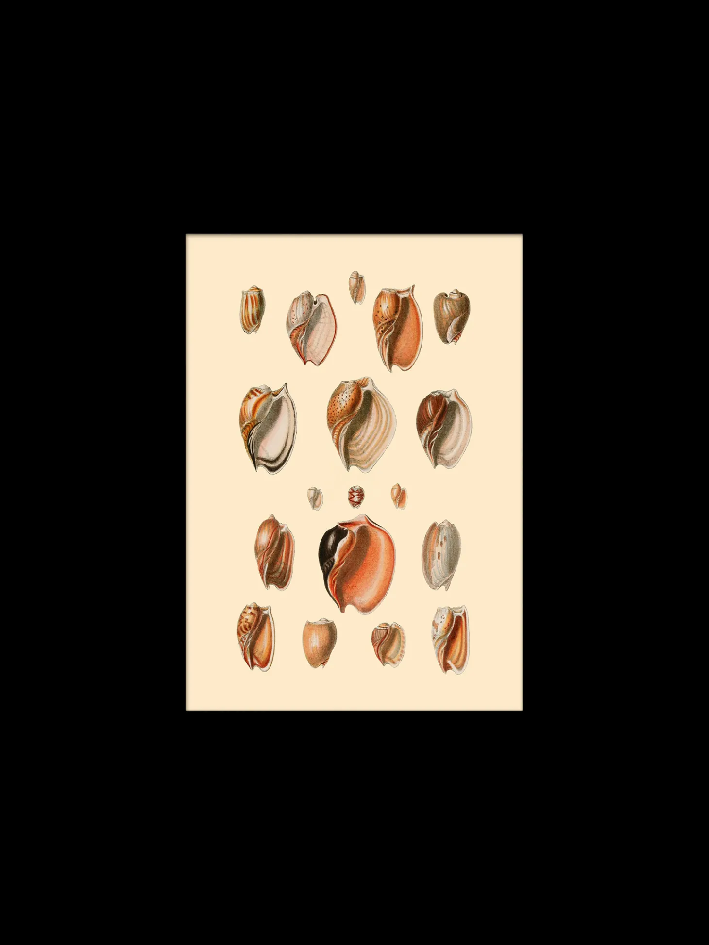 Plakat 15 X 21 Cm