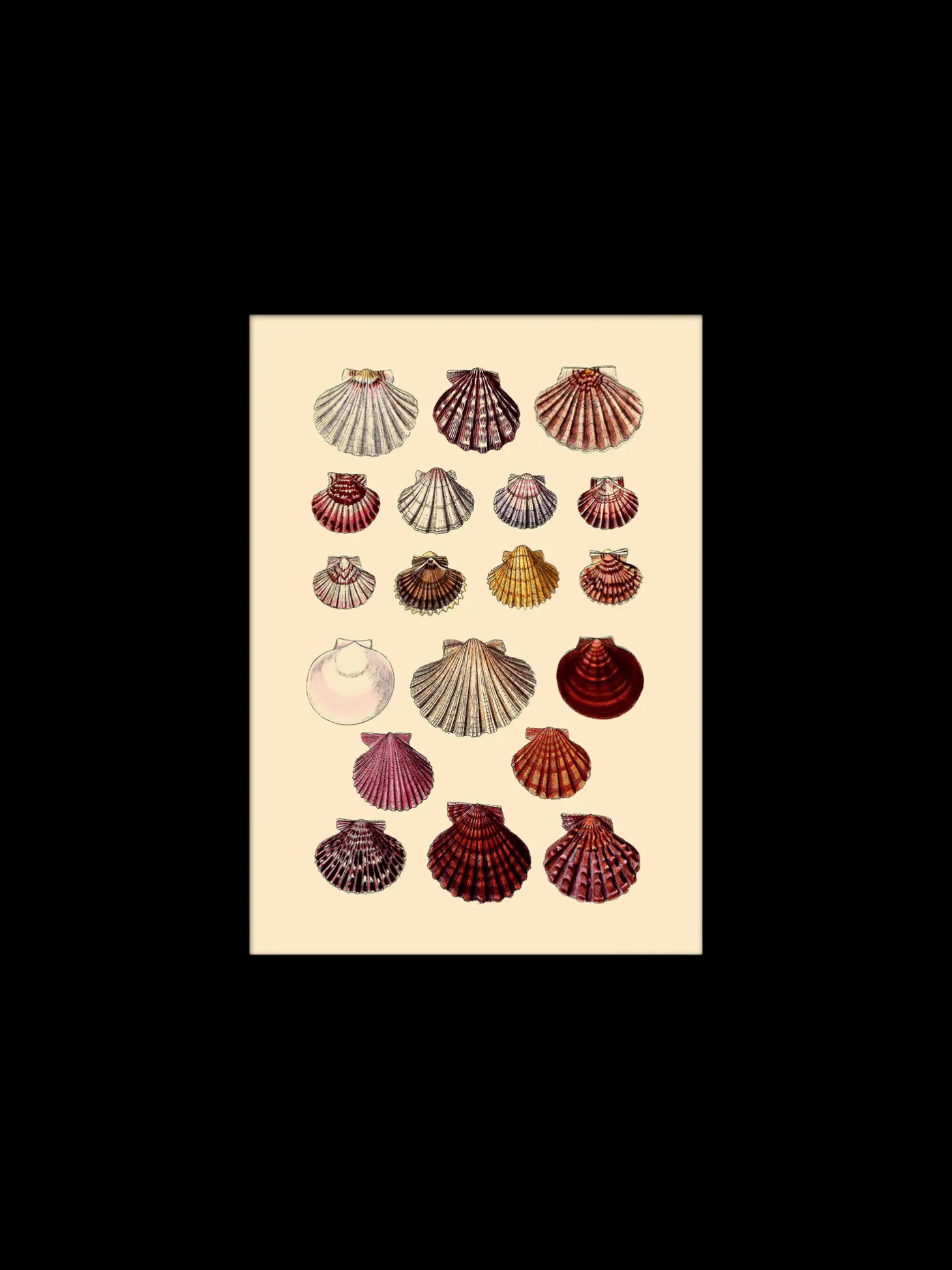 Plakat 15 X 21 Cm