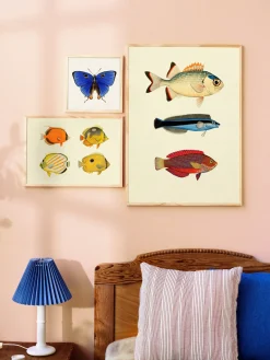 Plakat 50 X 70 Cm