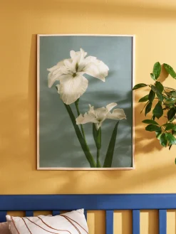 Plakat 50 X 70 Cm