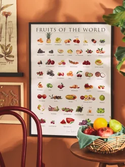 Plakat Fruits Of The World 50 X 70 Cm