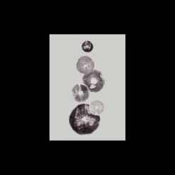 Plakat Mushroom – 4 Grey 40 X 50 Cm