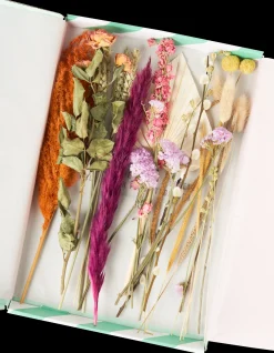 Tørkede Blomster BloomPost