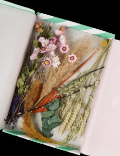 Tørkede Blomster BloomPost Pastel