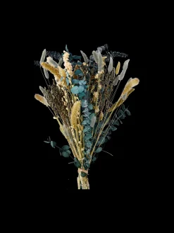 Tørkede Blomster Fiola Medium