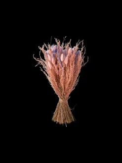Tørkede Blomster Rosa Liten