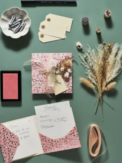 Tørkede Blomster Til Hobbyprosjekter