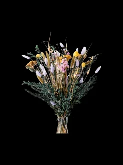 Tørkede Blomster Valentina Medium